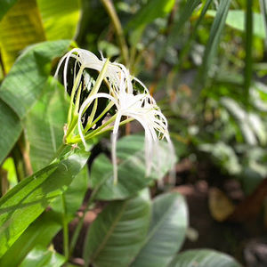 Meet your Posher, Oliva